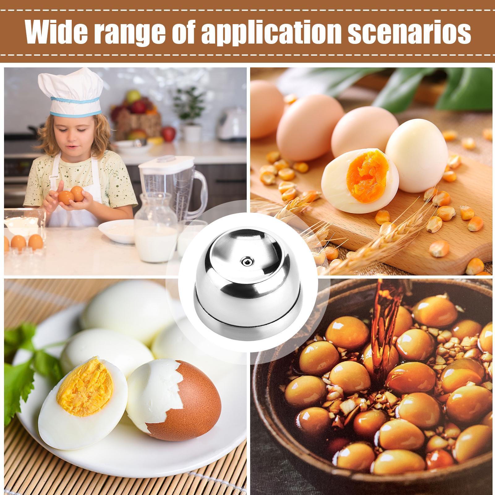 Penusuk Telur Jarum Baja Tahan - Egg Separator Tool ulasan dan harga